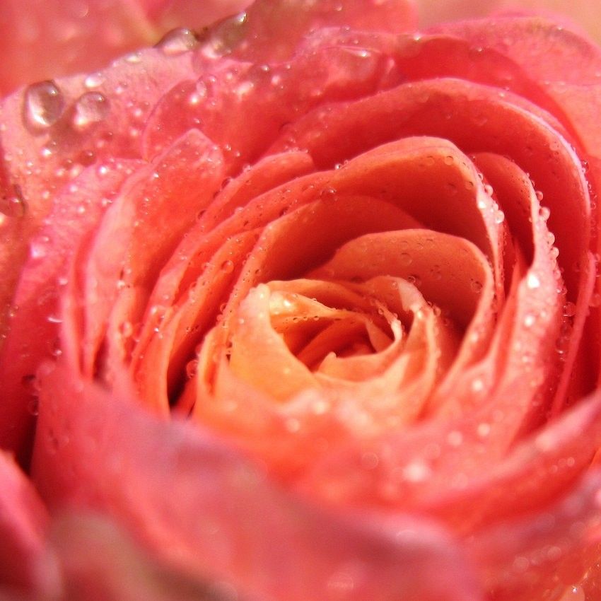 Gemeinsame Zeit schenken: Schöne Geschenkideen für den Valentinstag