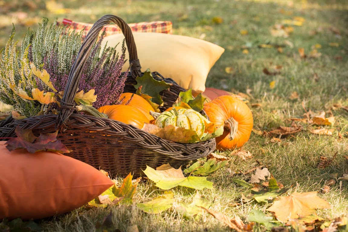5 Tipps für einen tollen Herbst