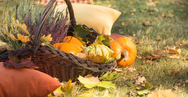 Schrecklich gute Einrichtung: Happy Halloween bei Dekoria!