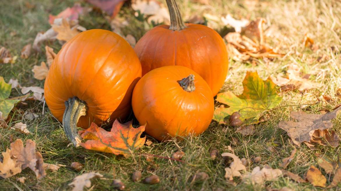Happy Halloween – gespenstisch schöne Inspirationen