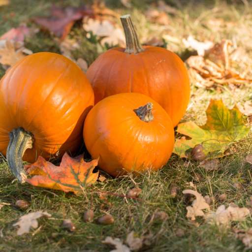 Happy Halloween – gespenstisch schöne Inspirationen