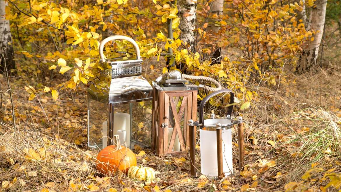 Bunter Blätterrausch – Spaziergang im herbstlichen Wald