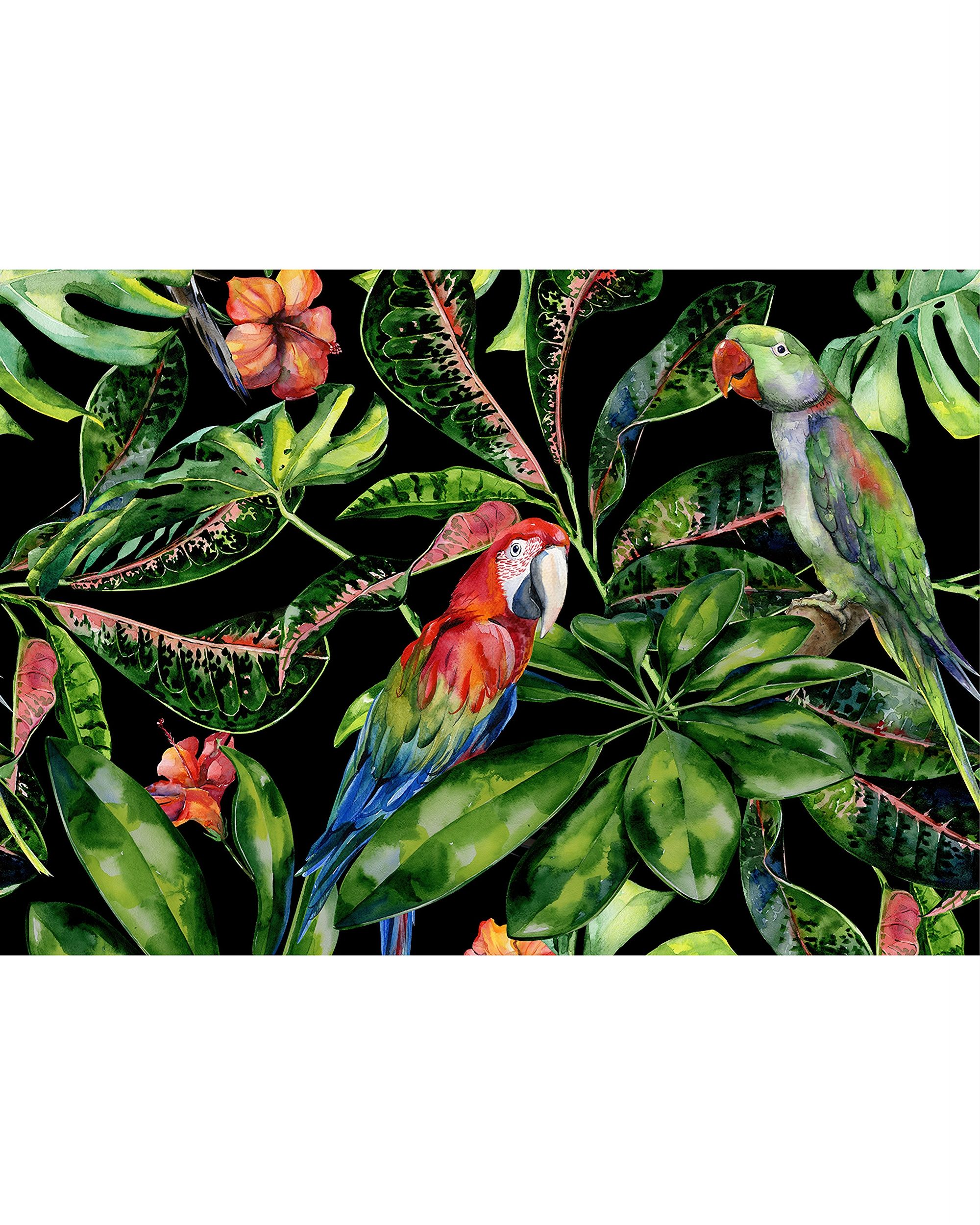 Leinwandbild Tropical Birds