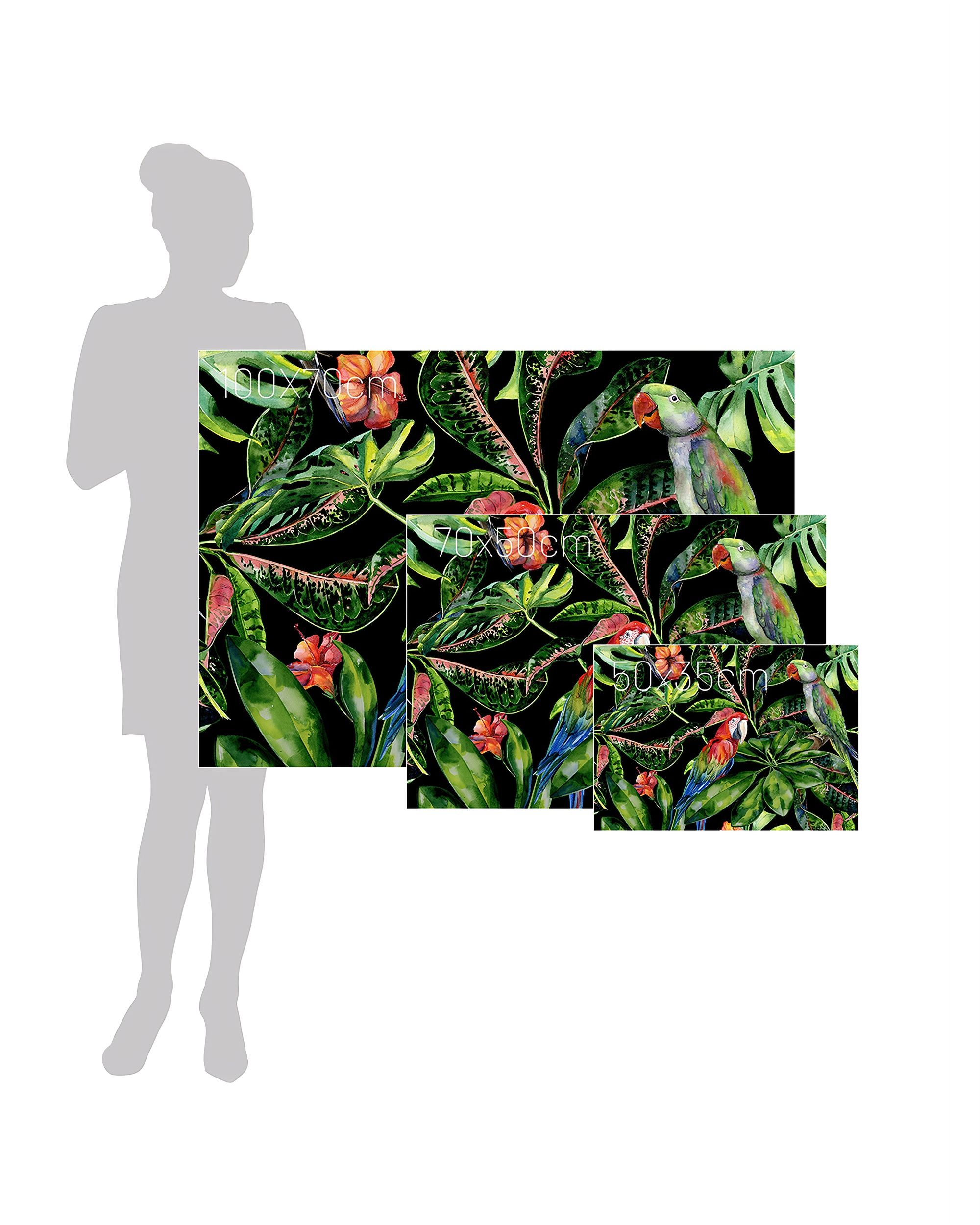 Leinwandbild Tropical Birds (hover)