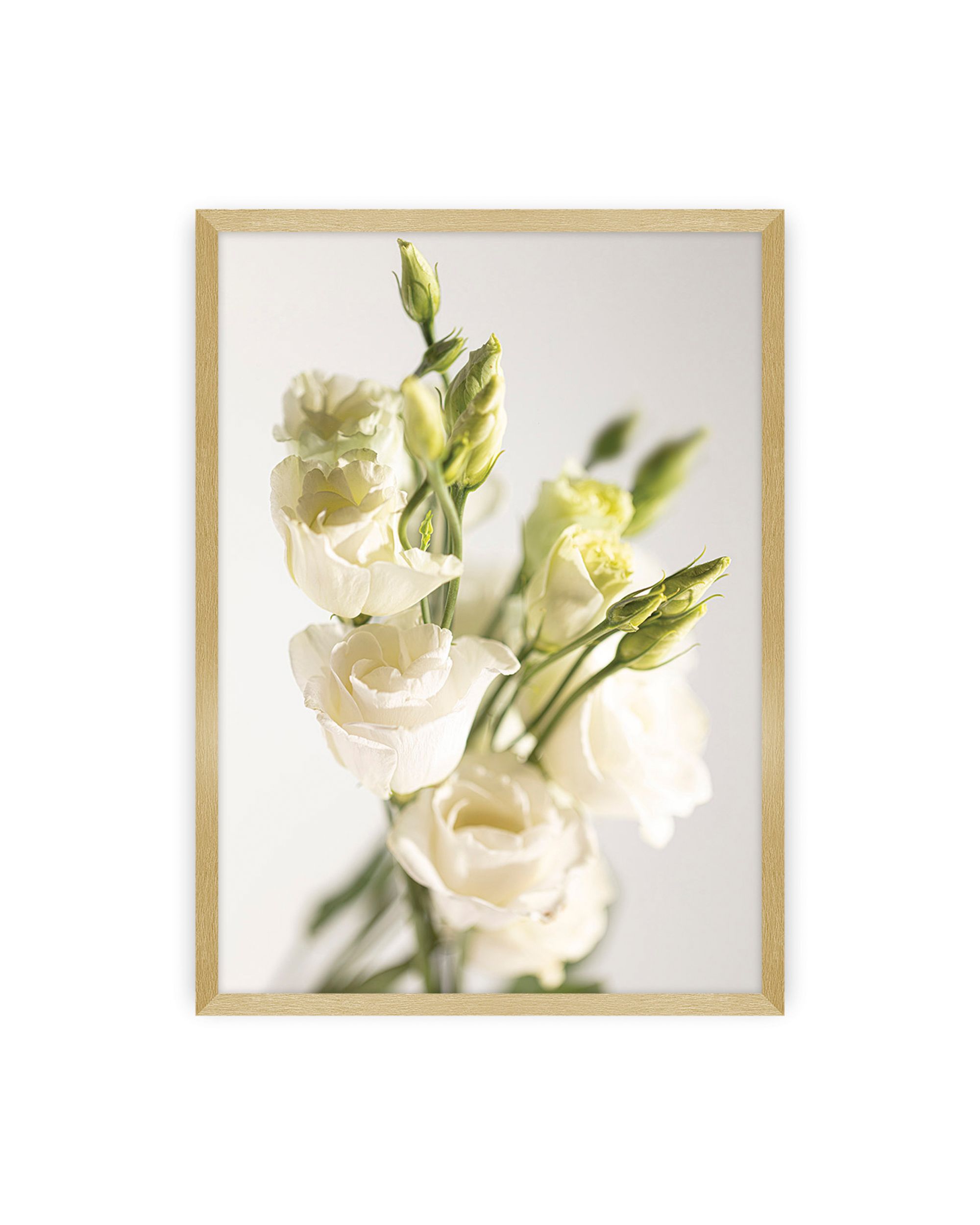 Poster Elegant Flowers