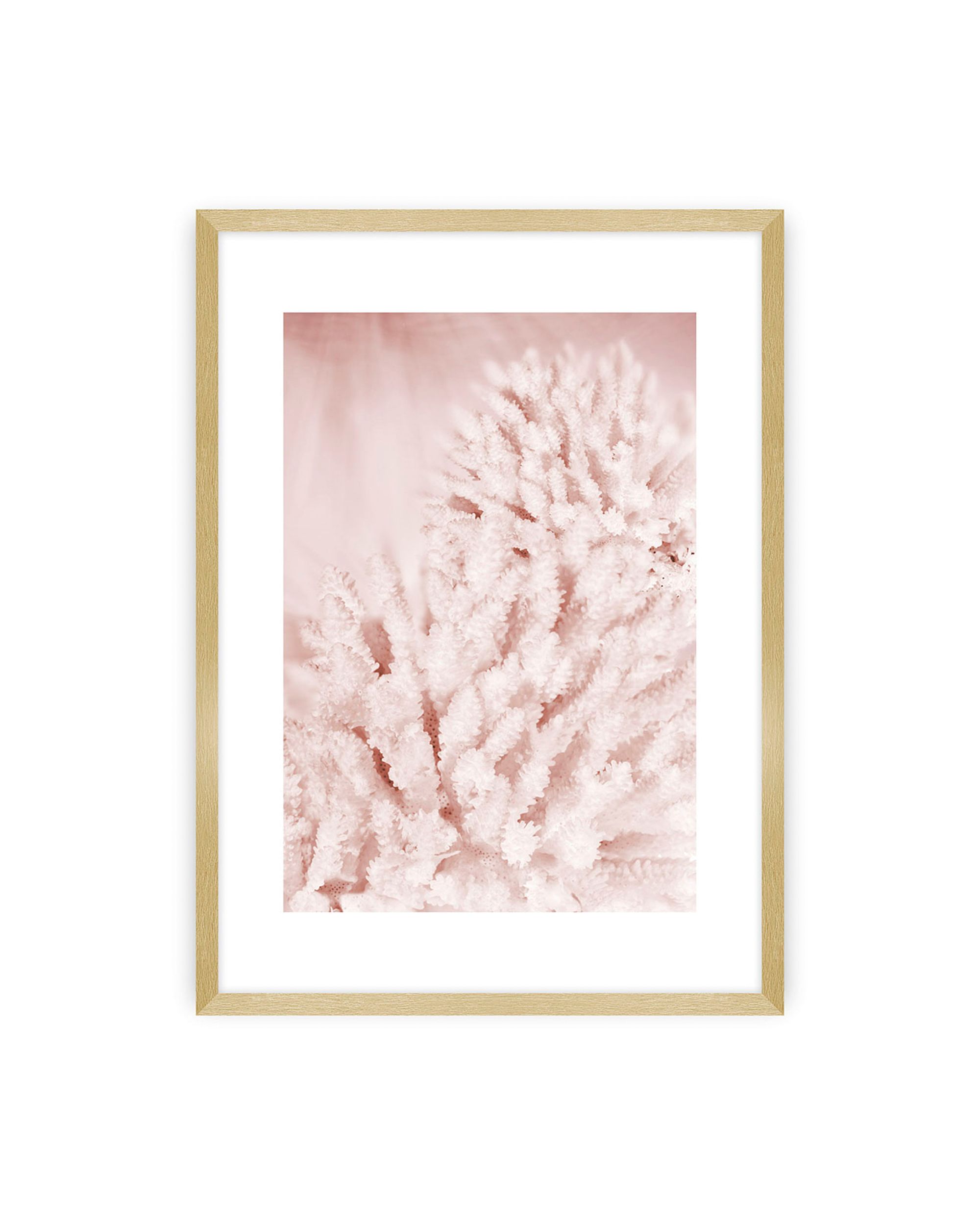 Poster Pastel Pink II