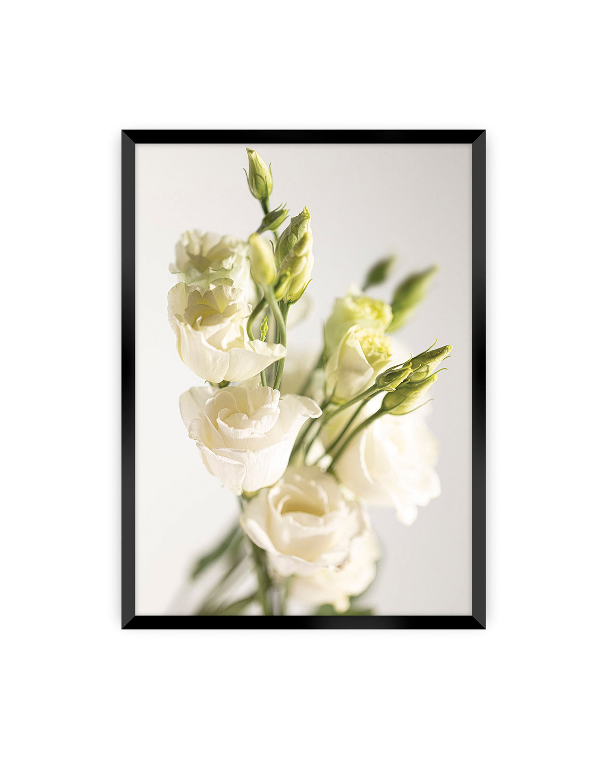 Poster Elegant Flowers