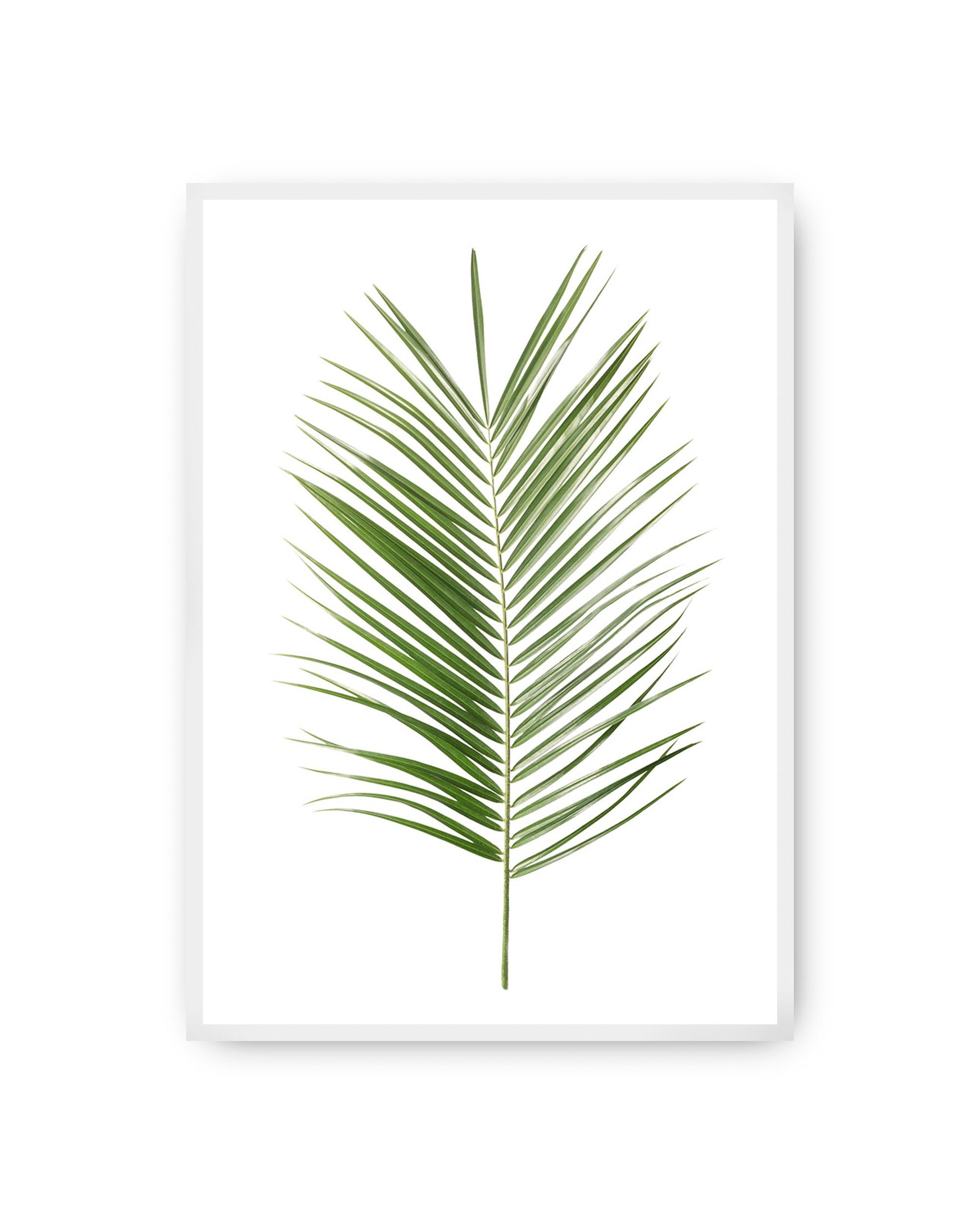 Poster Palm Leaf Green