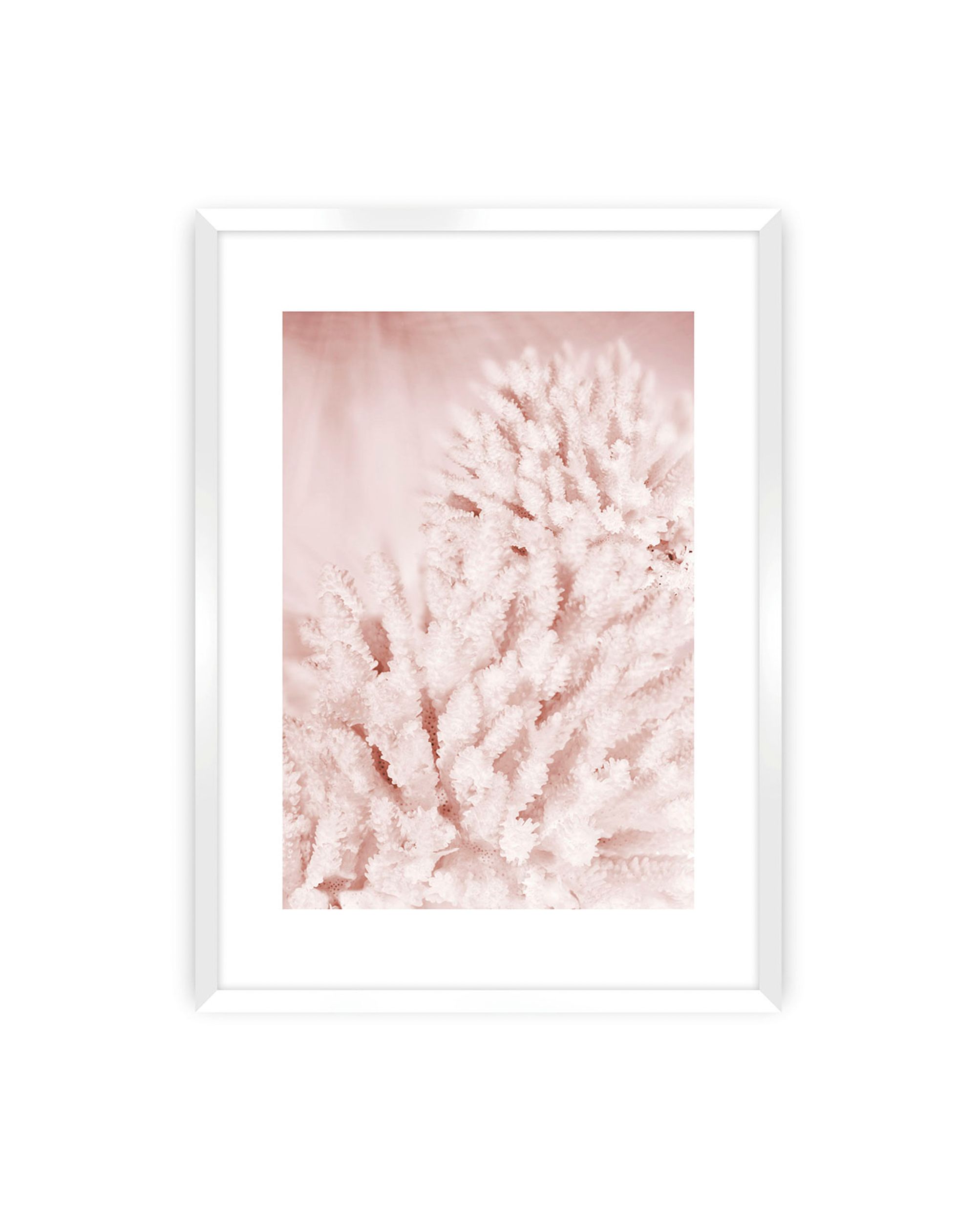 Poster Pastel Pink II