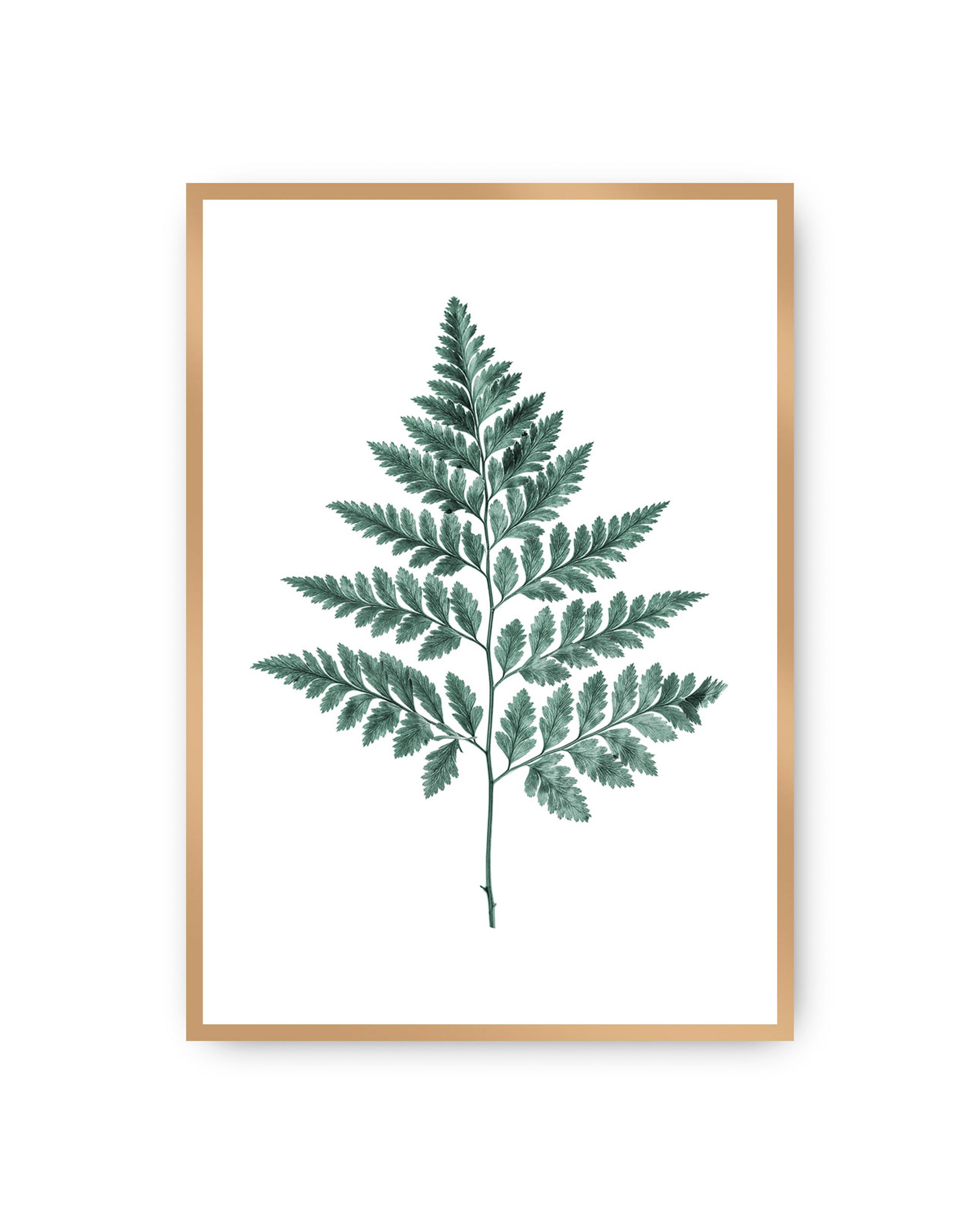 Poster Fern Emerald Green