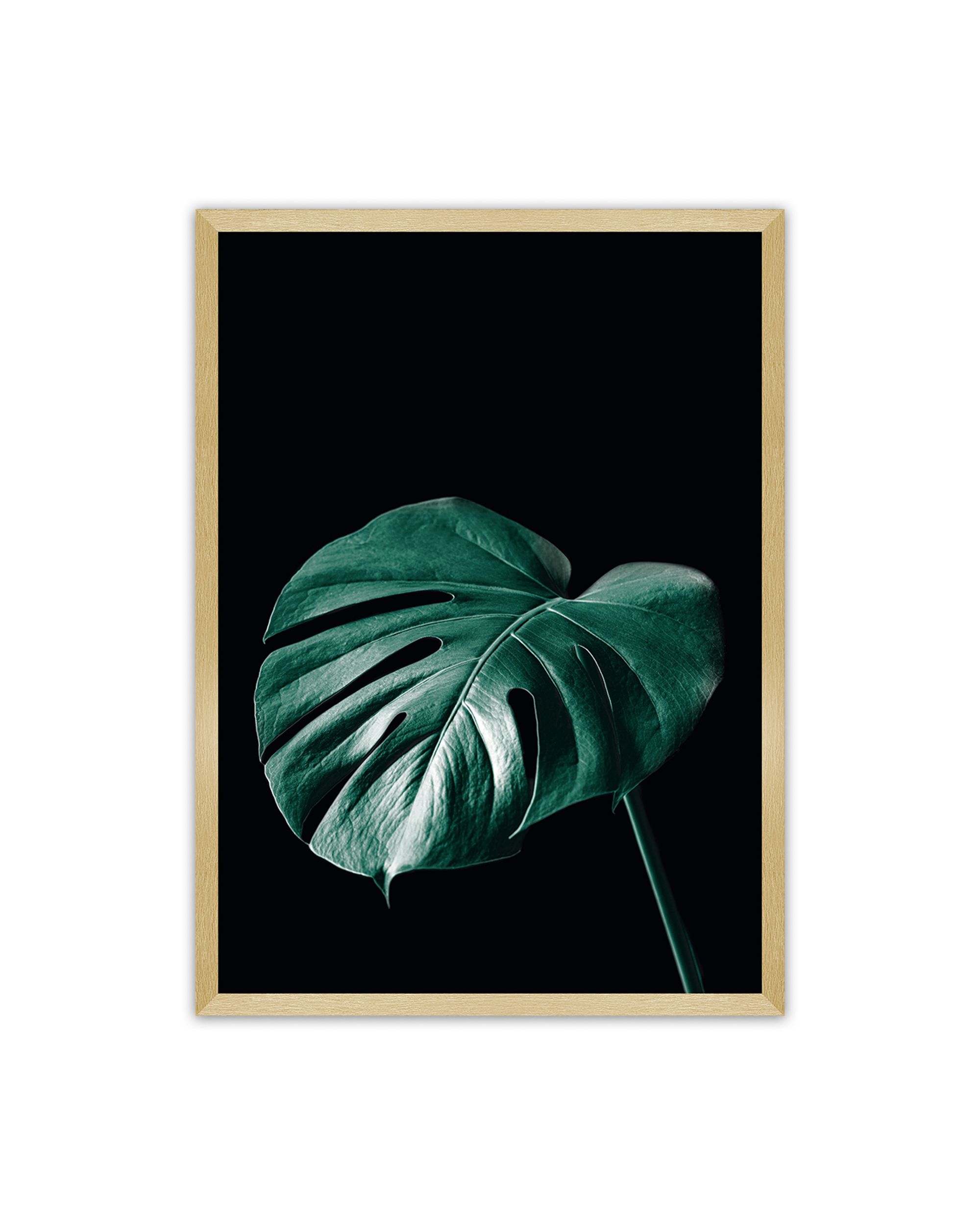 Poster Dark Monstera