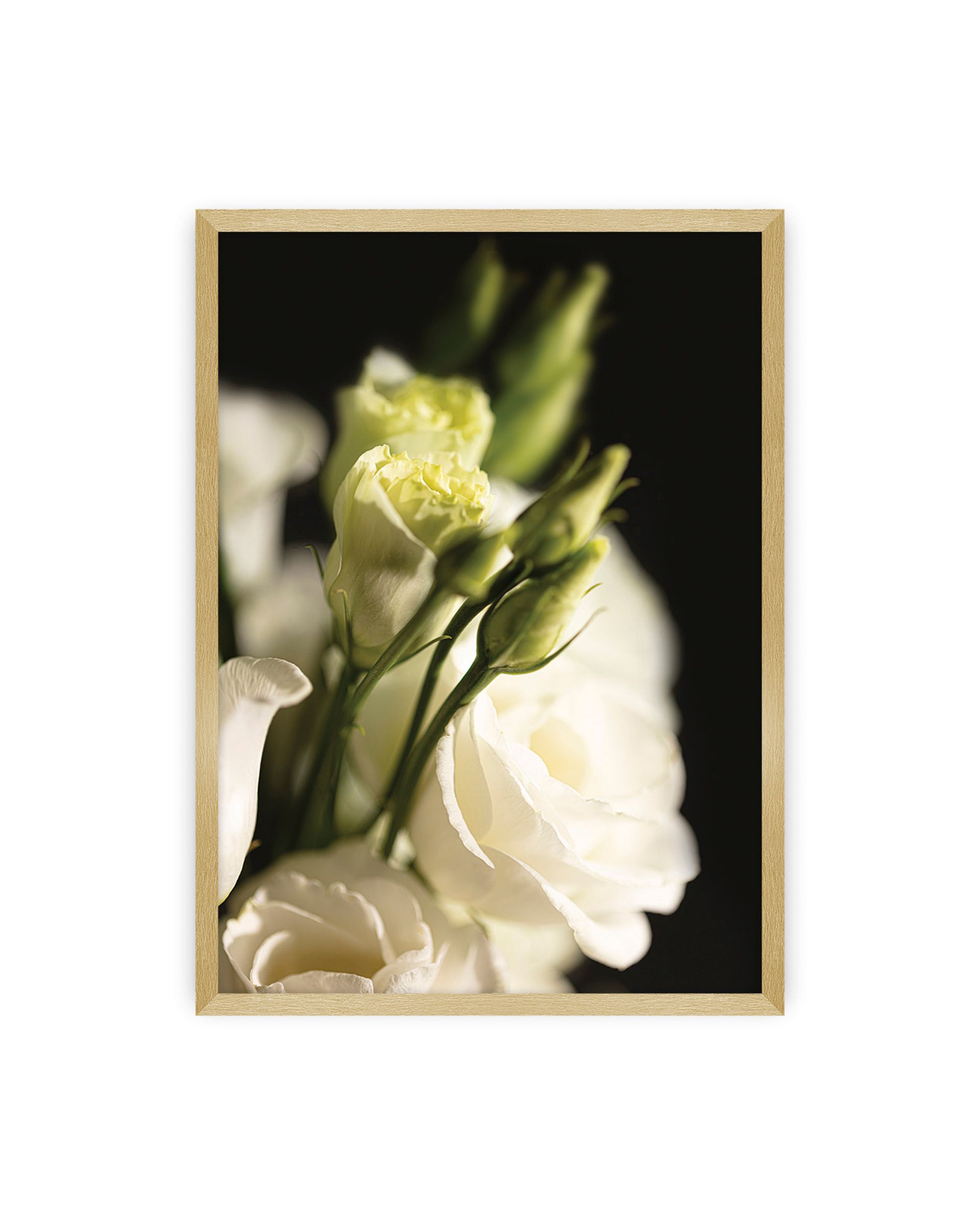 Poster Dark Flowers