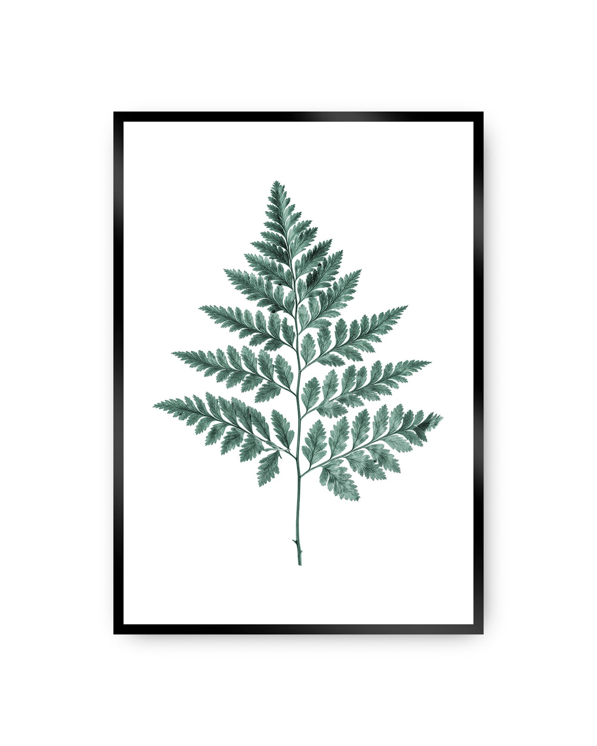 Poster Fern Emerald Green