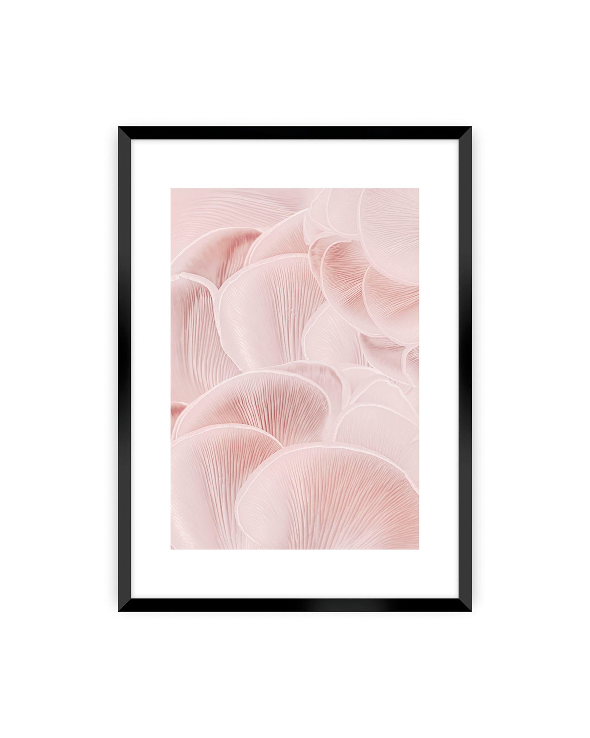 Poster Pastel Pink I