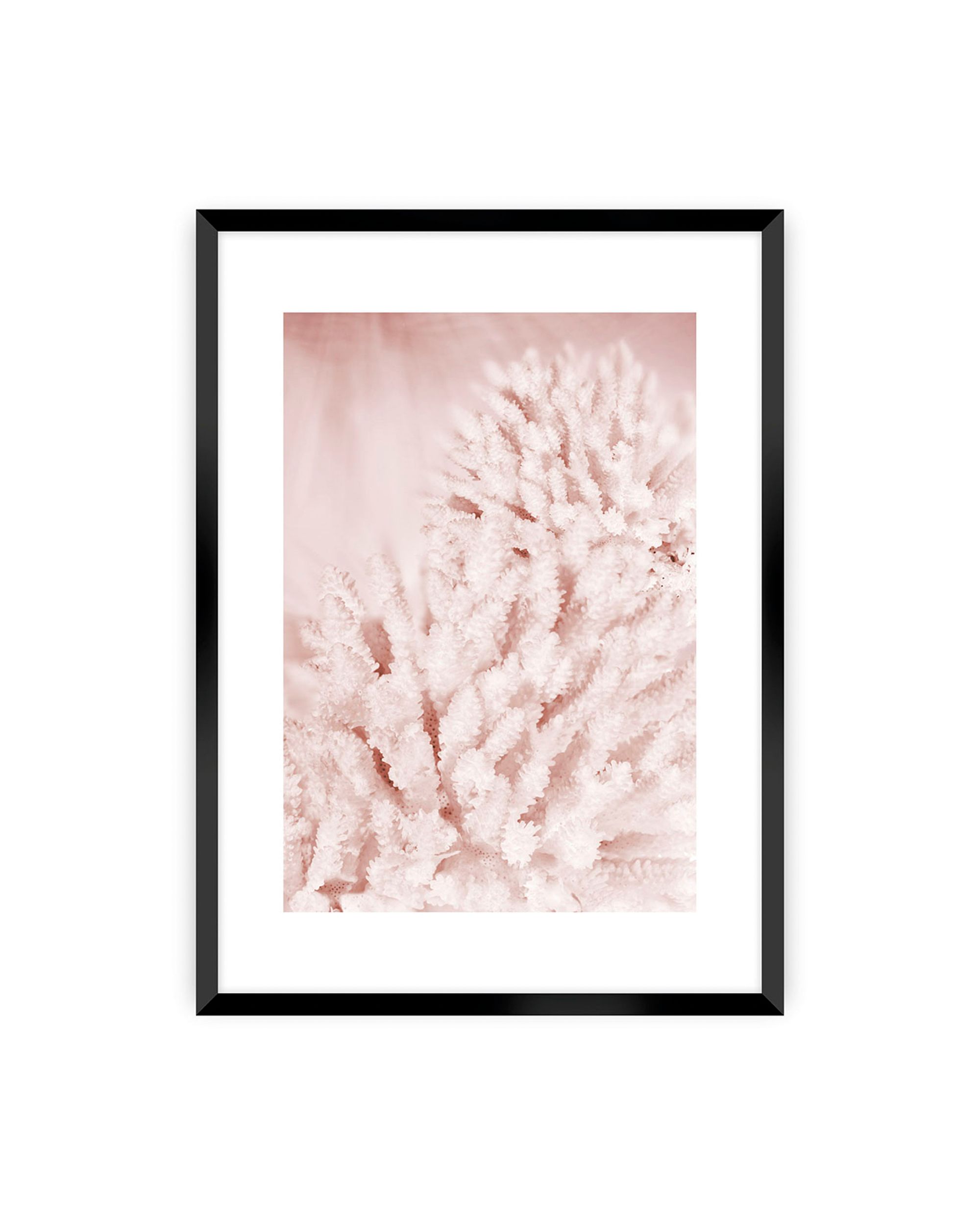 Poster Pastel Pink II
