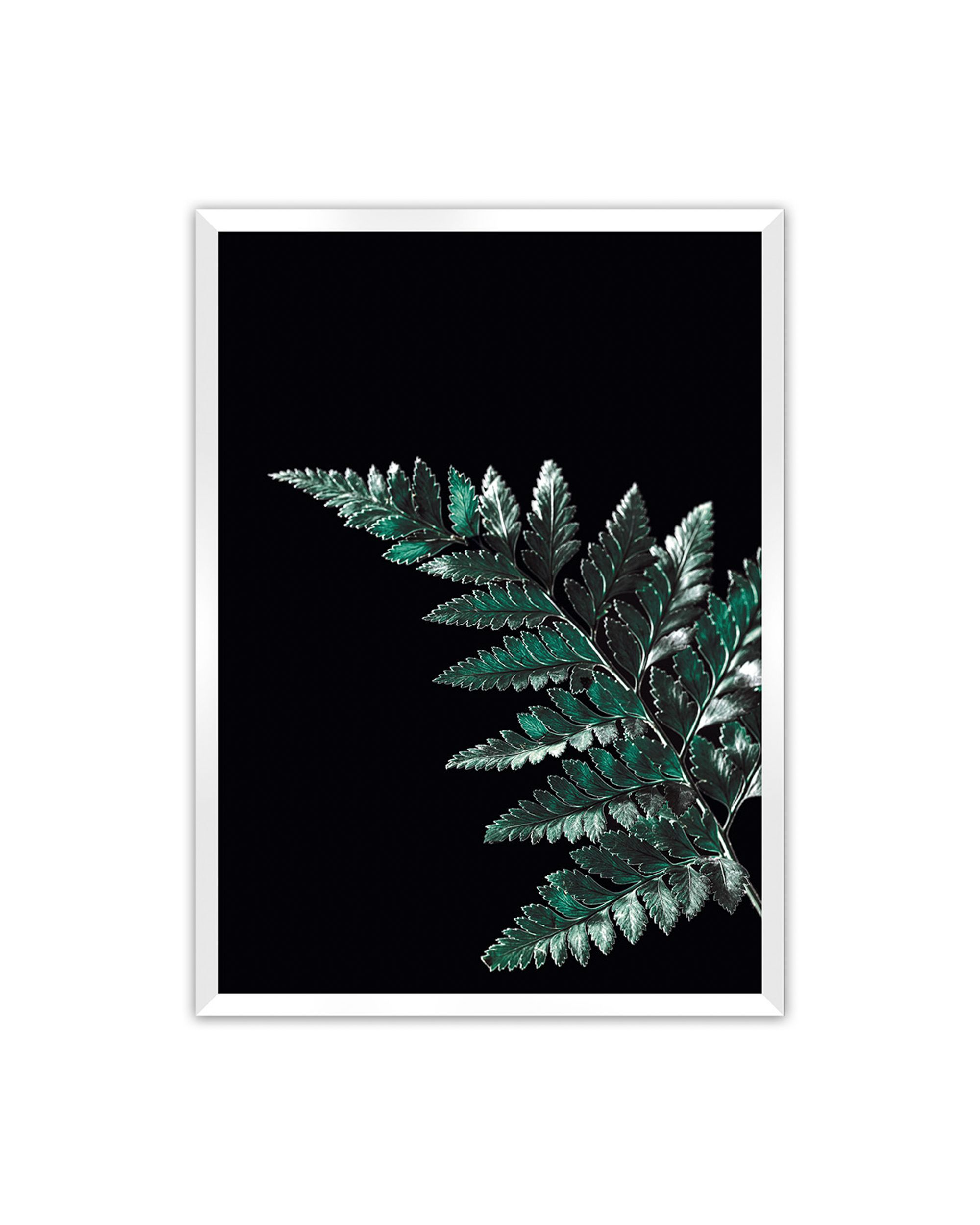 Poster Dark Fern Leaf