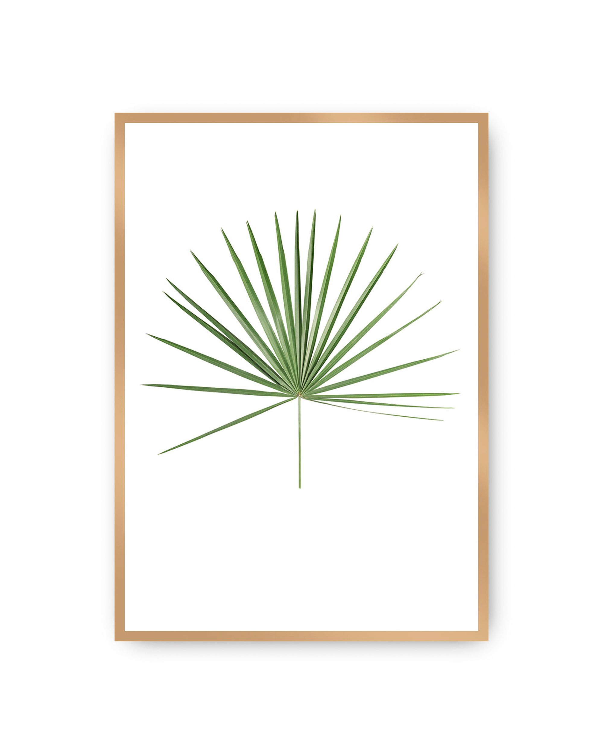 Poster Tropical Leaf Green