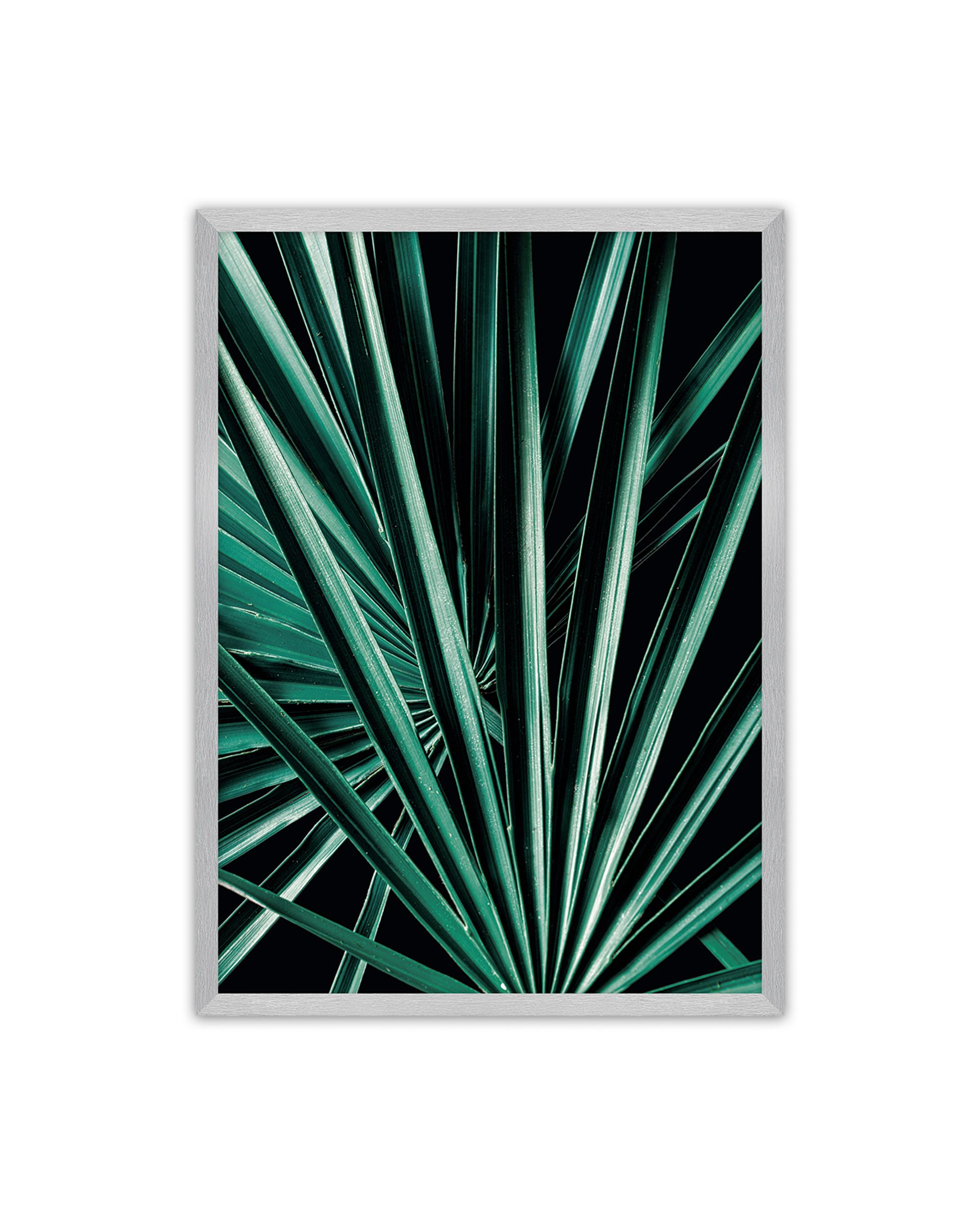 Poster Dark Palm Tree