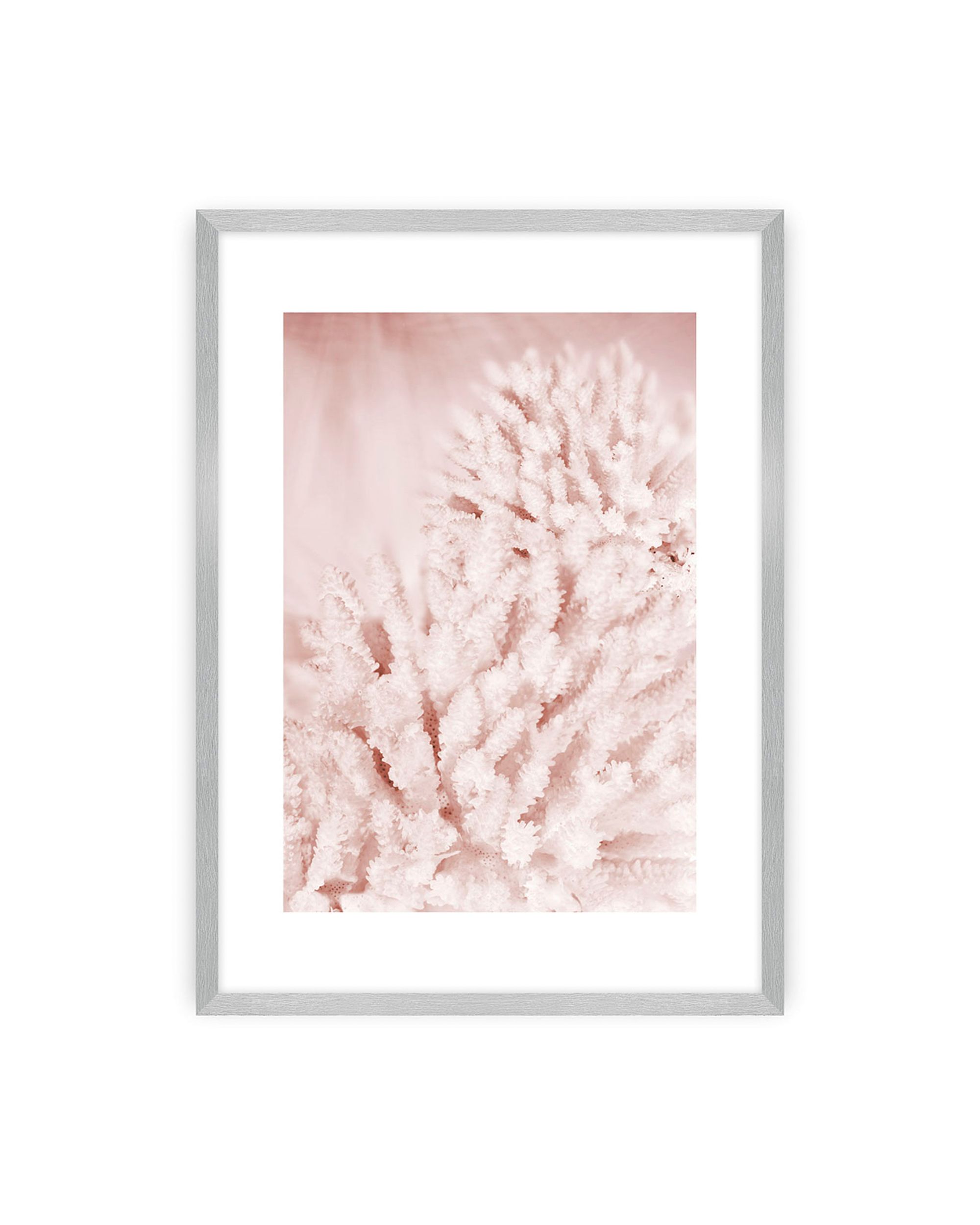 Poster Pastel Pink II