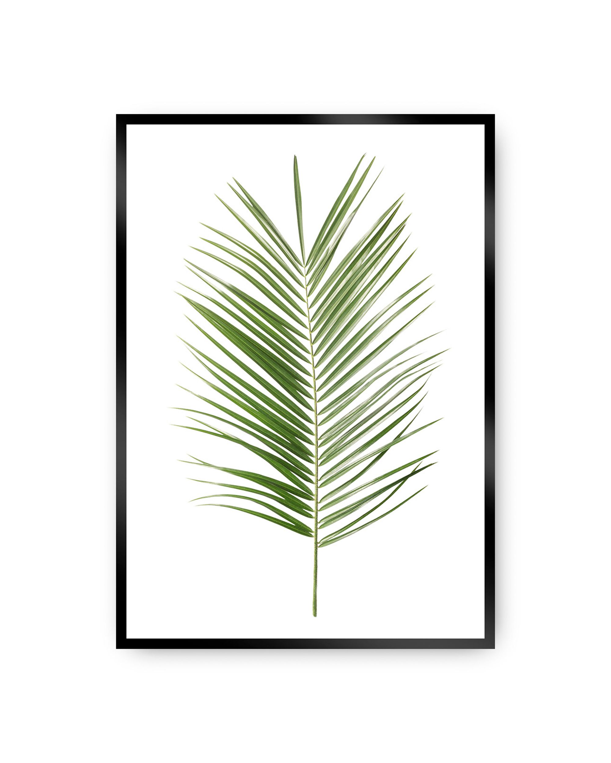 Poster Palm Leaf Green