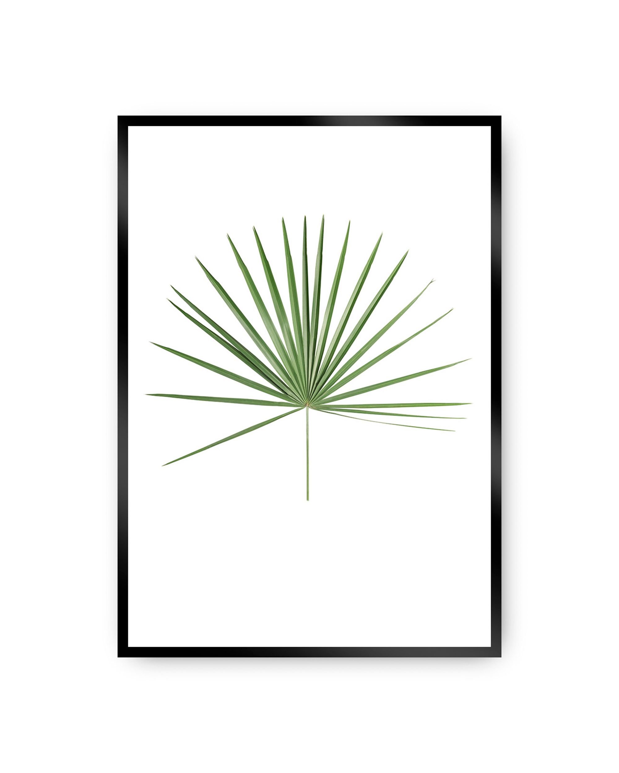 Poster Tropical Leaf Green