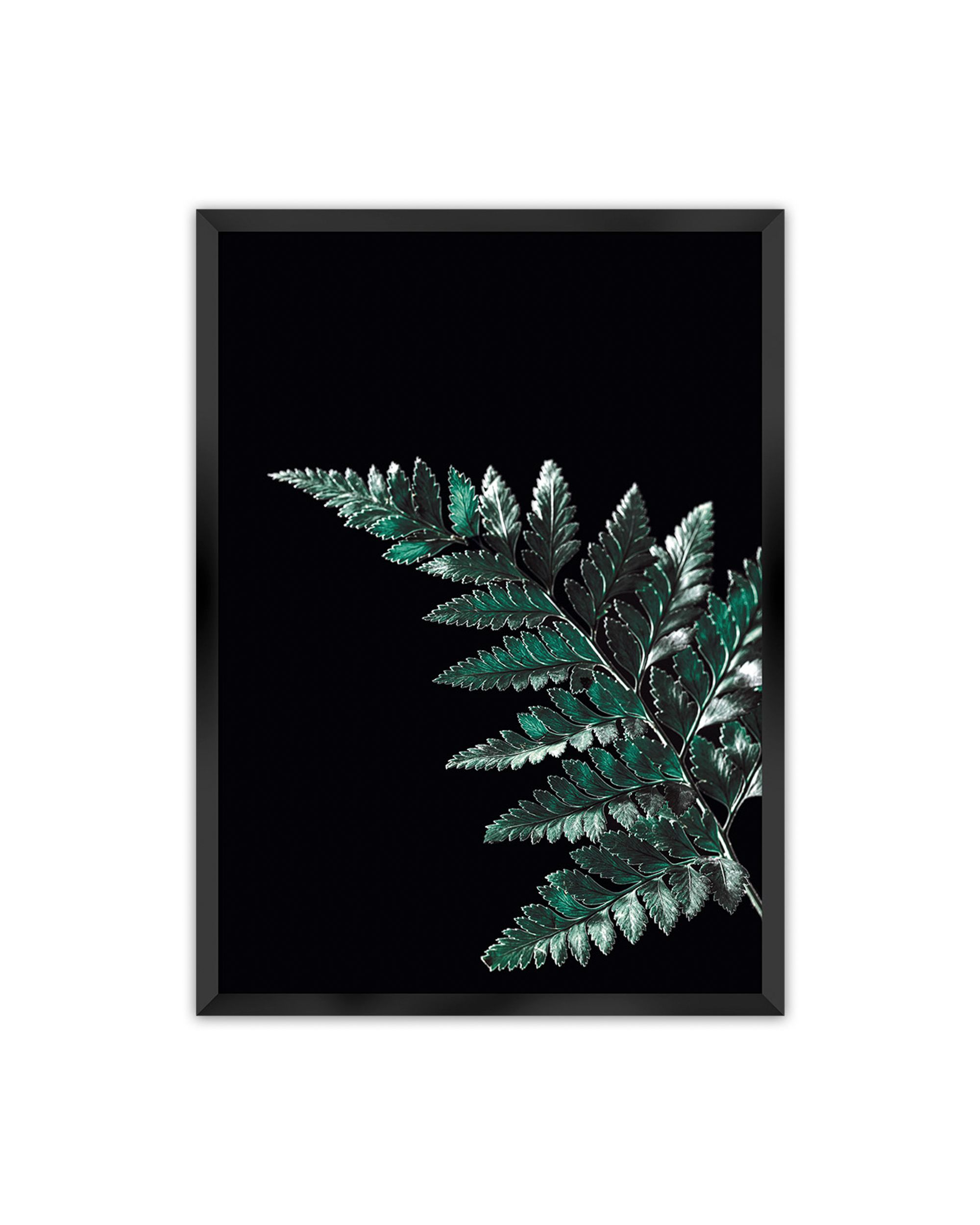 Poster Dark Fern Leaf