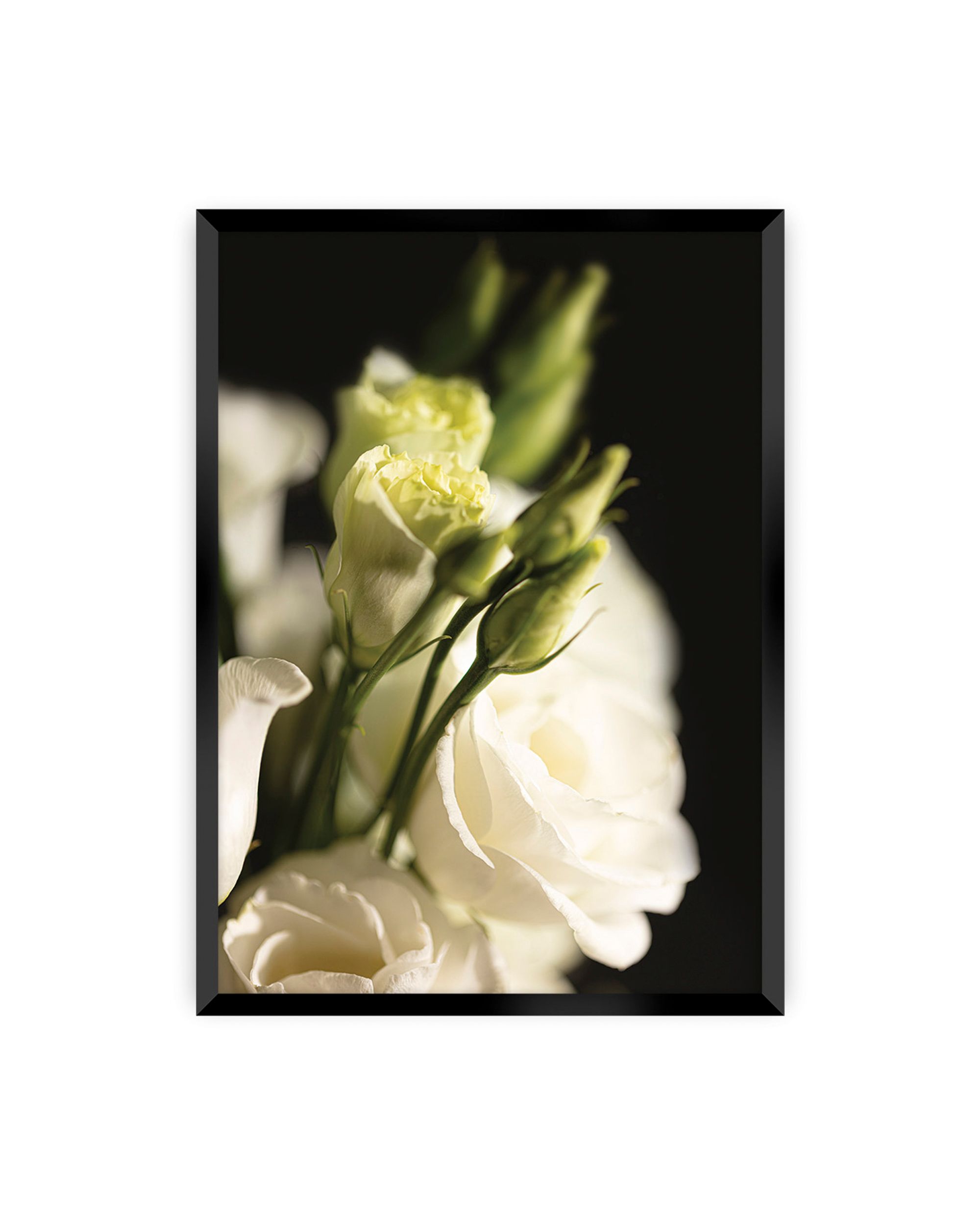 Poster Dark Flowers
