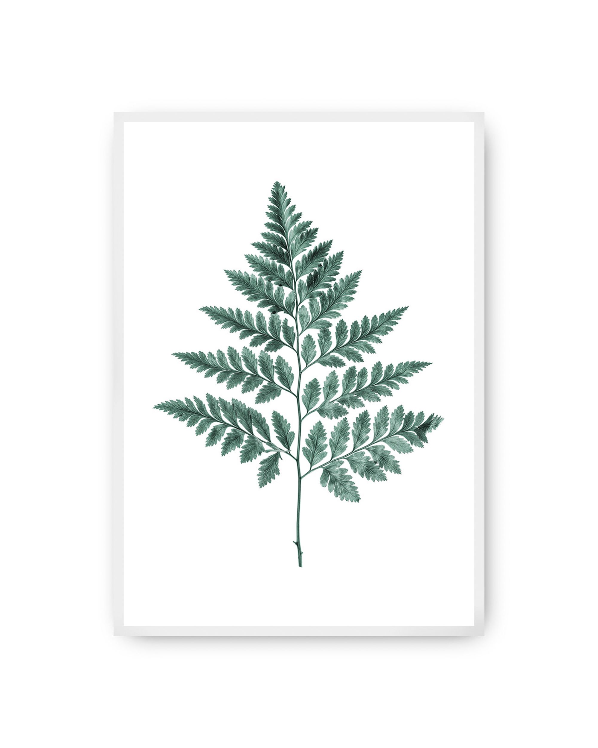 Poster Fern Emerald Green