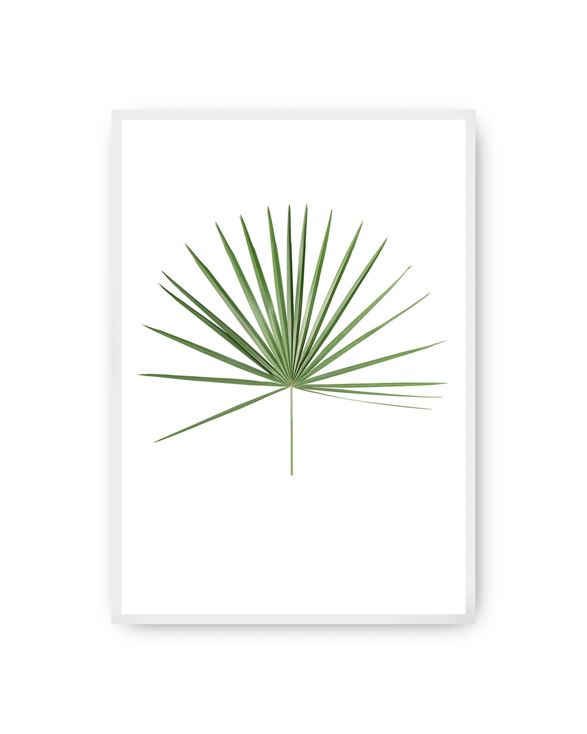 Poster Tropical Leaf Green