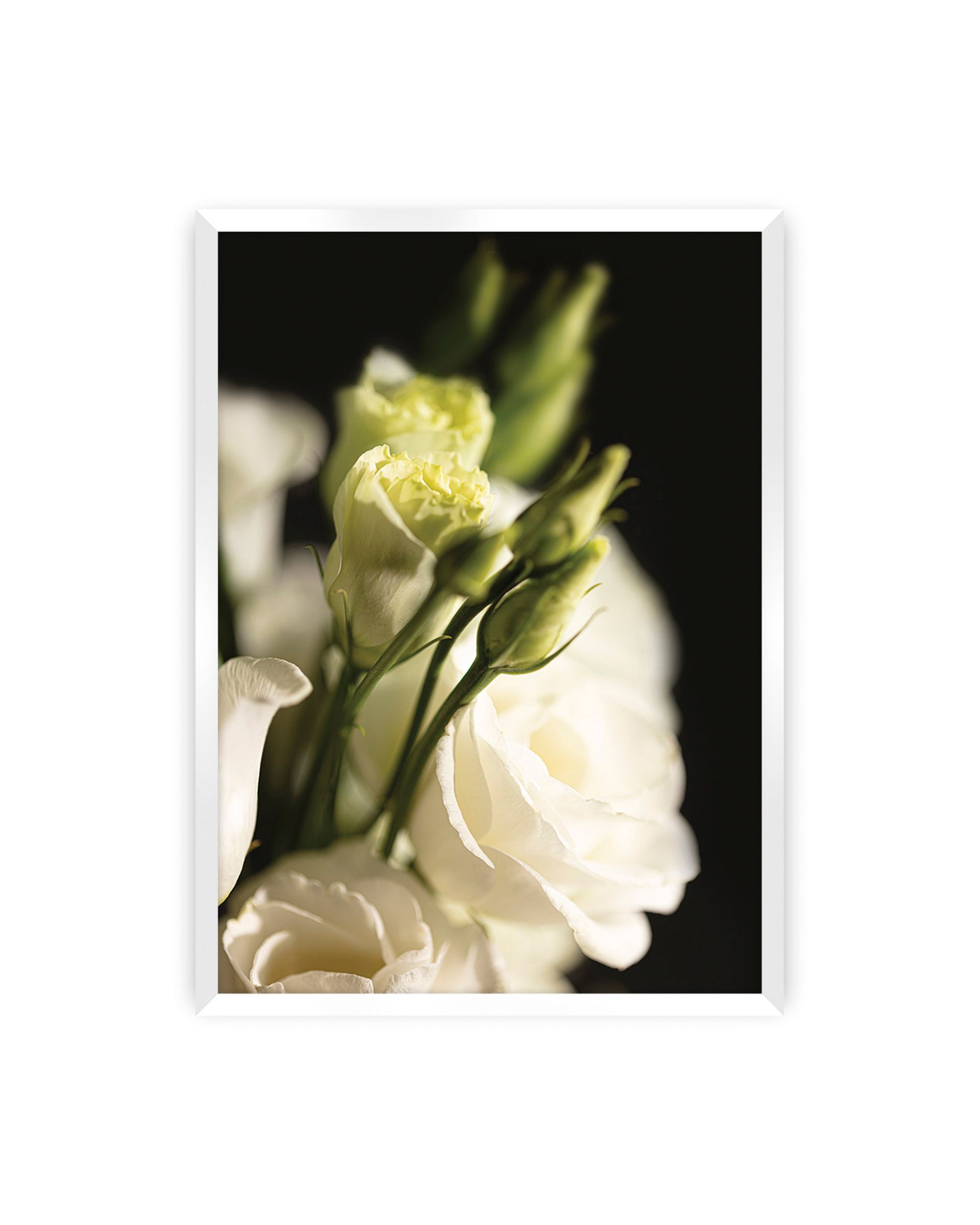 Poster Dark Flowers