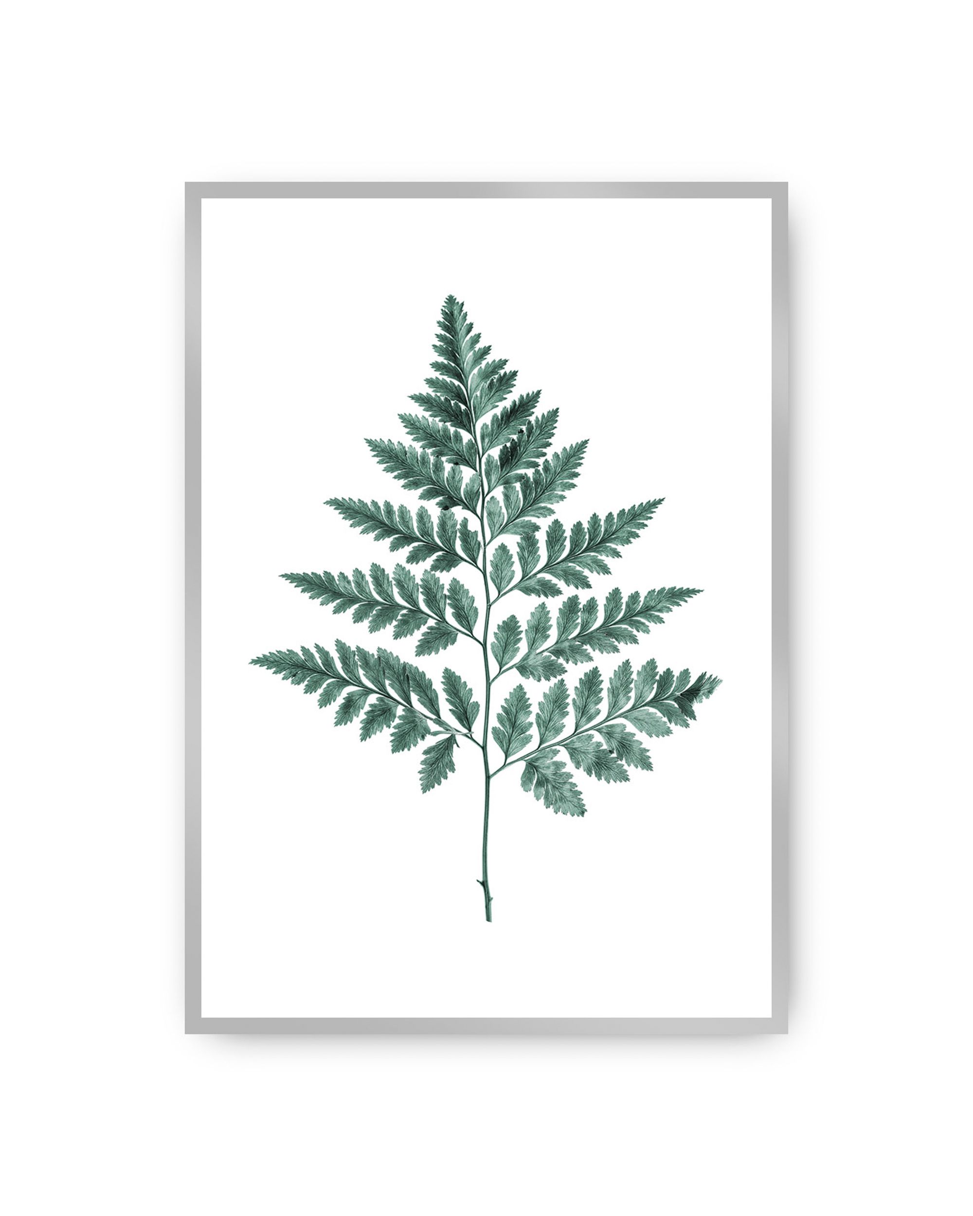 Poster Fern Emerald Green