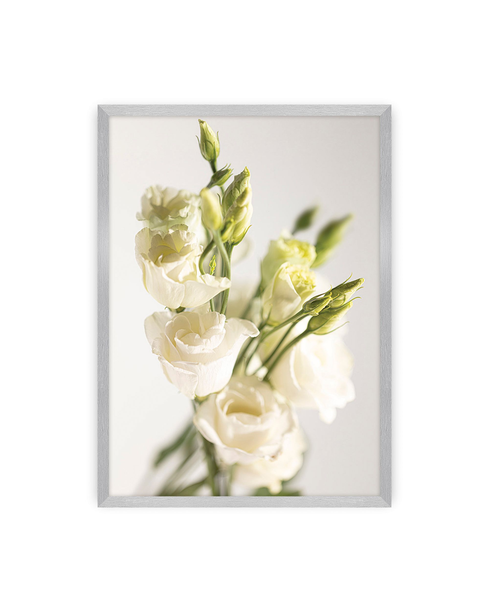 Poster Elegant Flowers
