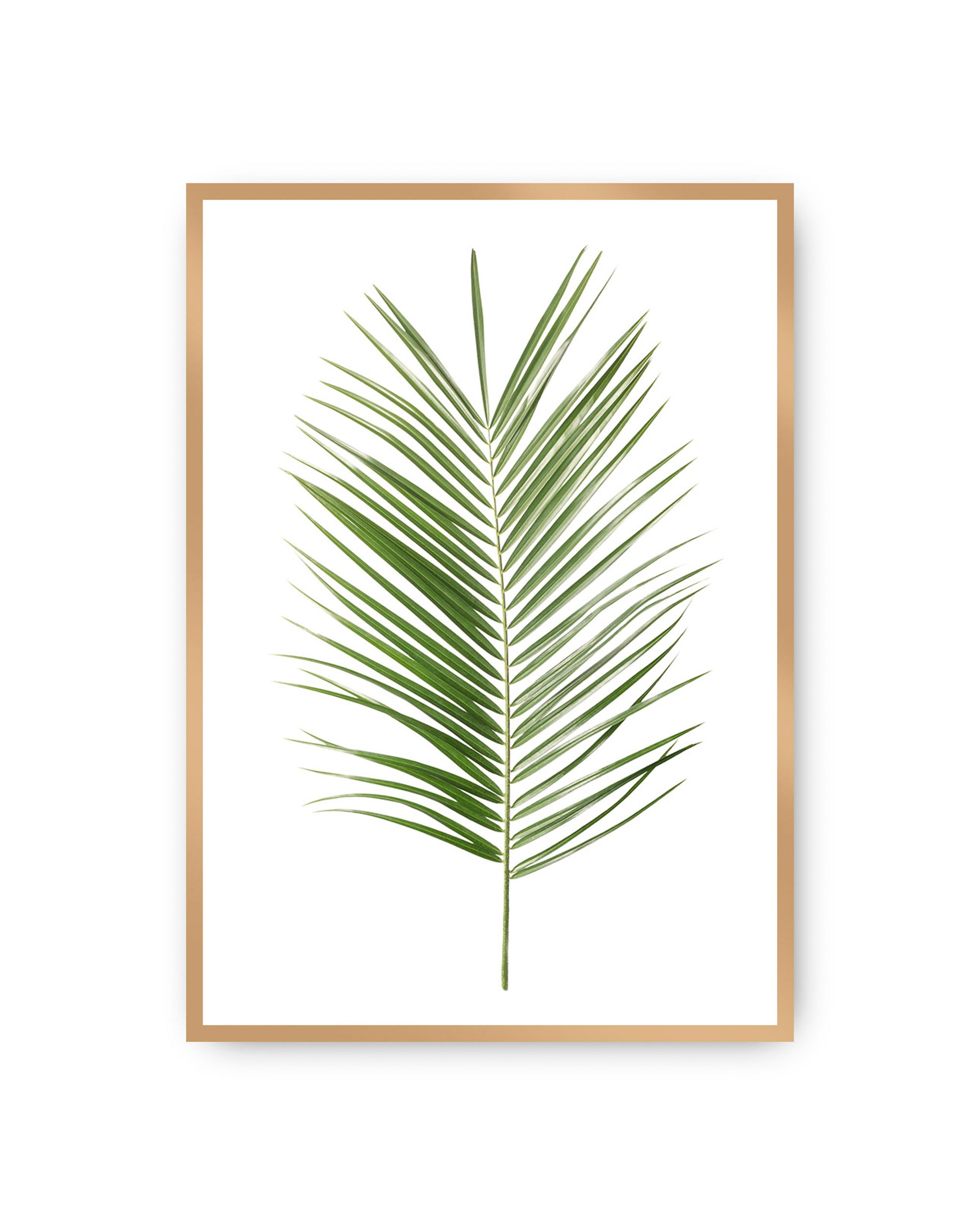Poster Palm Leaf Green
