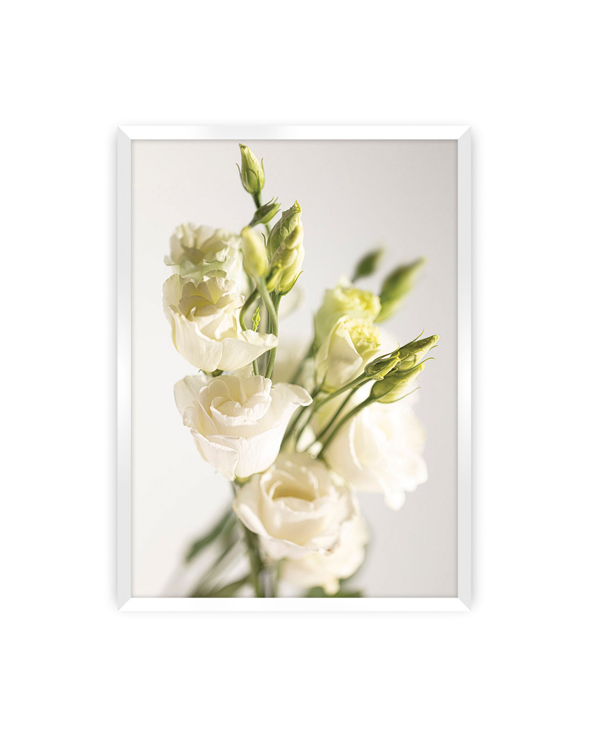Poster Elegant Flowers