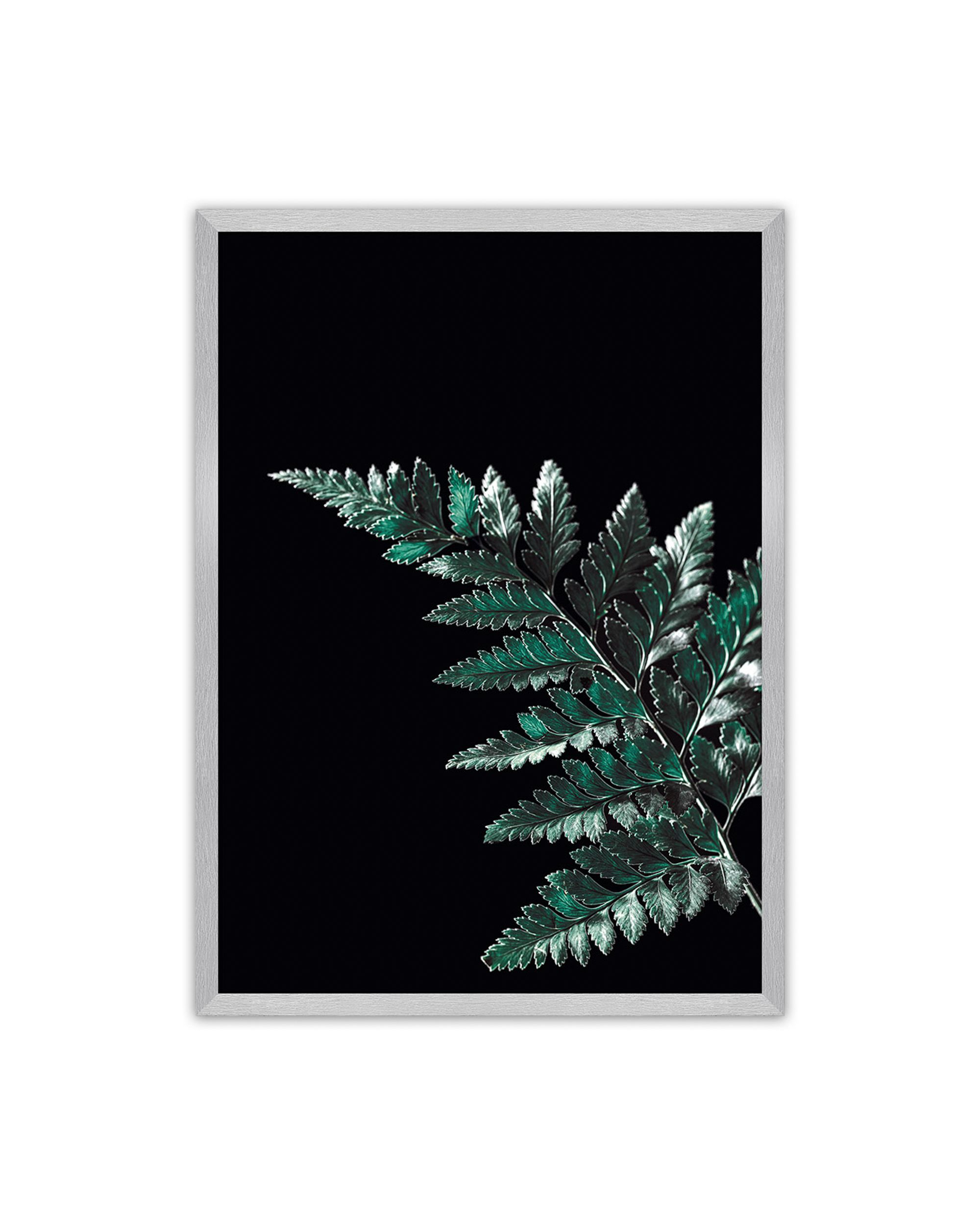 Poster Dark Fern Leaf