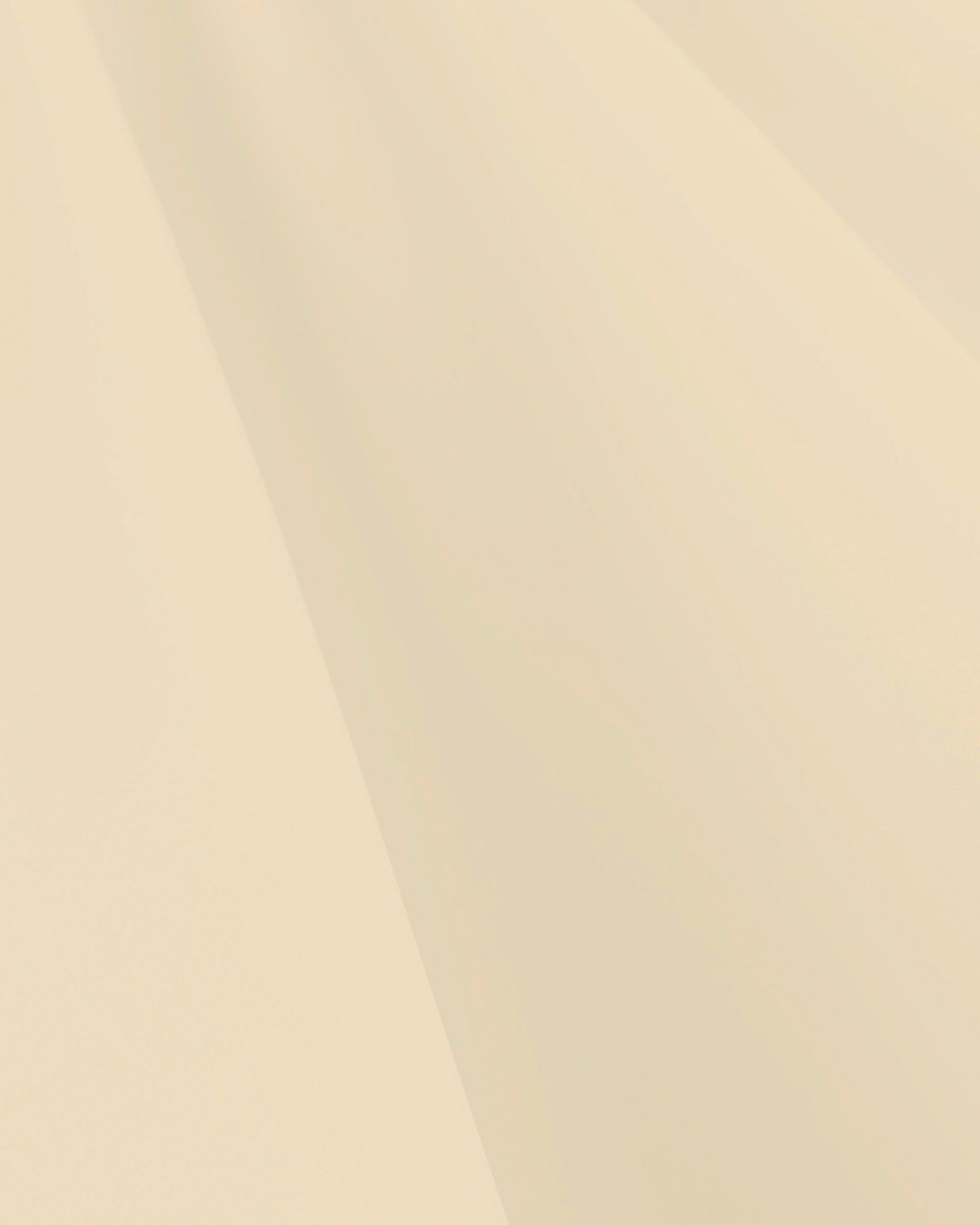 Verdunkelungsvorhang mit Falten-/Schlaufenband 140 x 280cm hellbeige (hover)