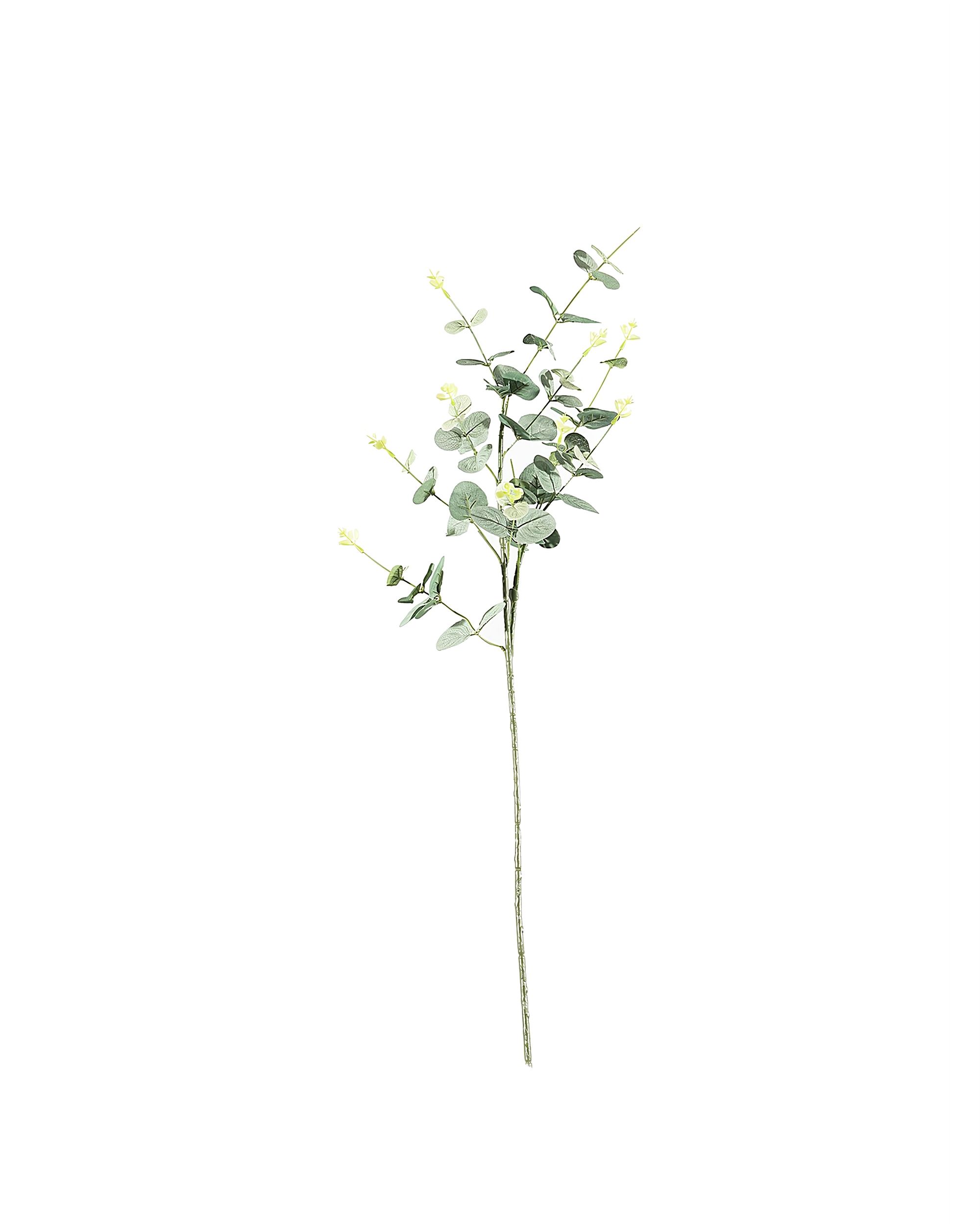 Eukalyptuszweig 90cm