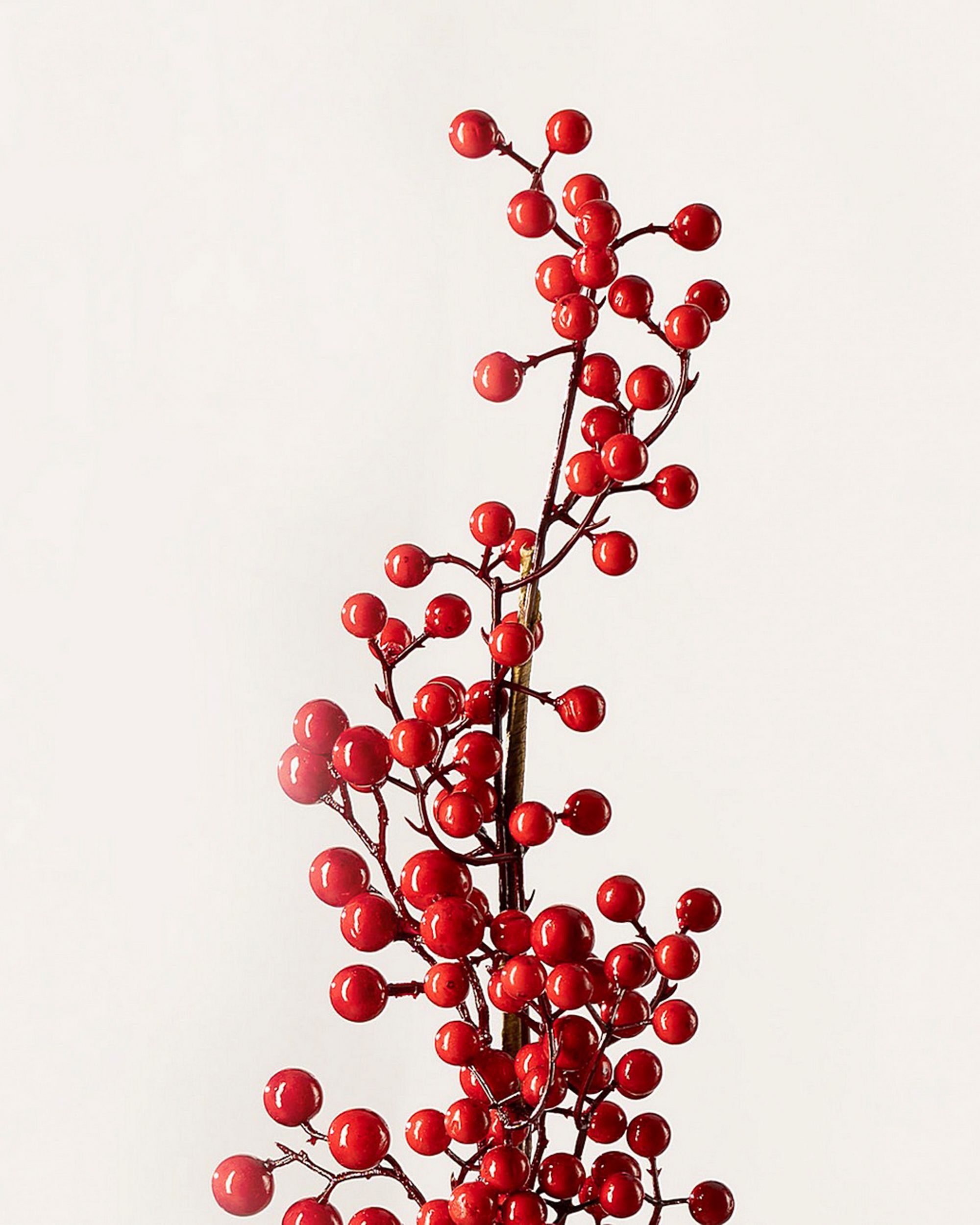 Dekorativer Zweig Cranberry 66 cm (hover)