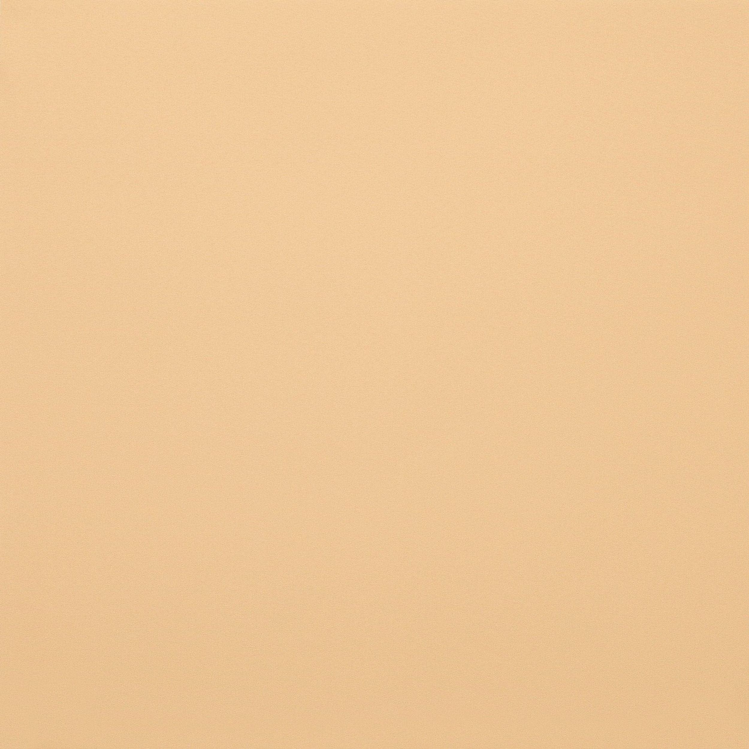 Blackout – Rollos MGR053 beige
