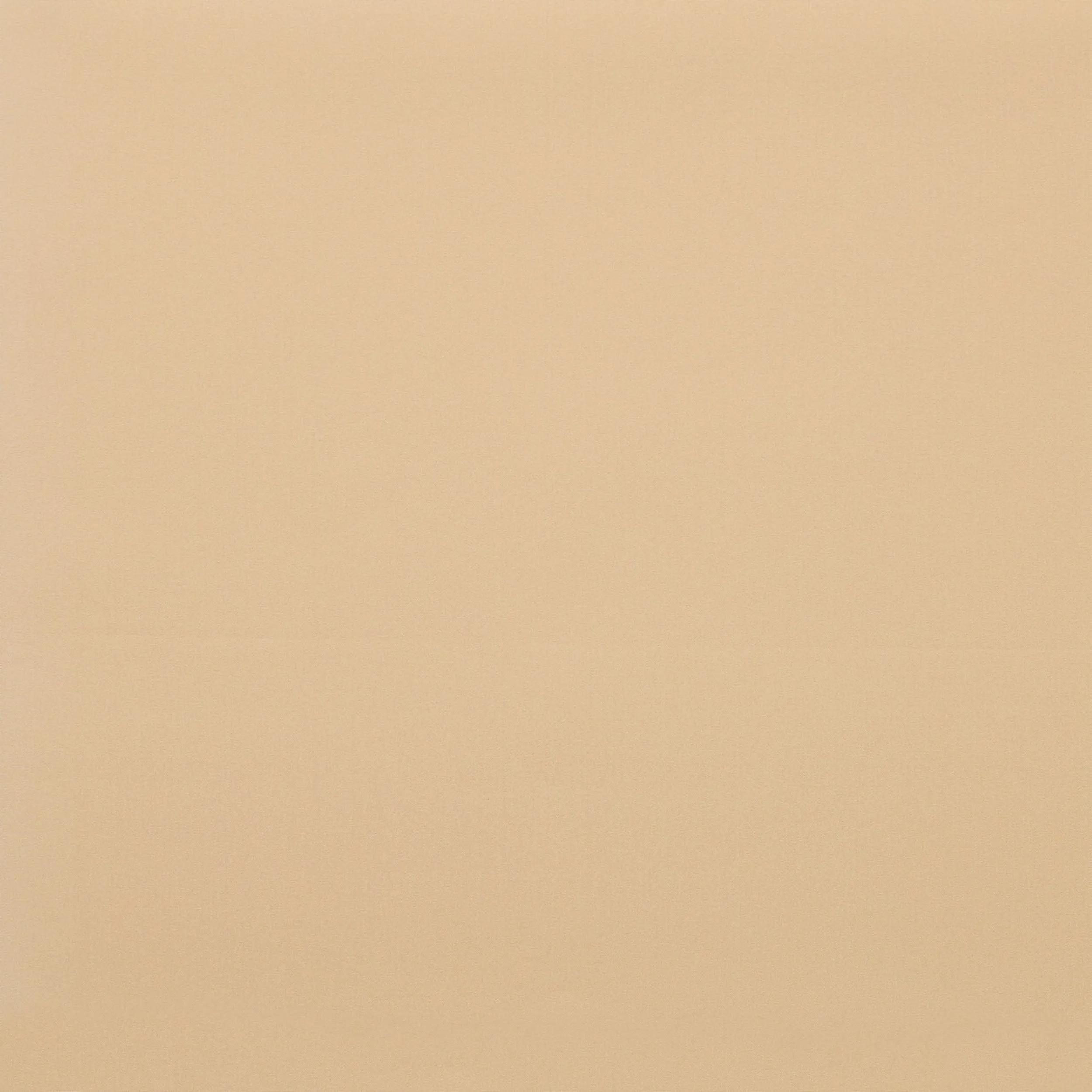 Blackout – Rollos MGR204 beige